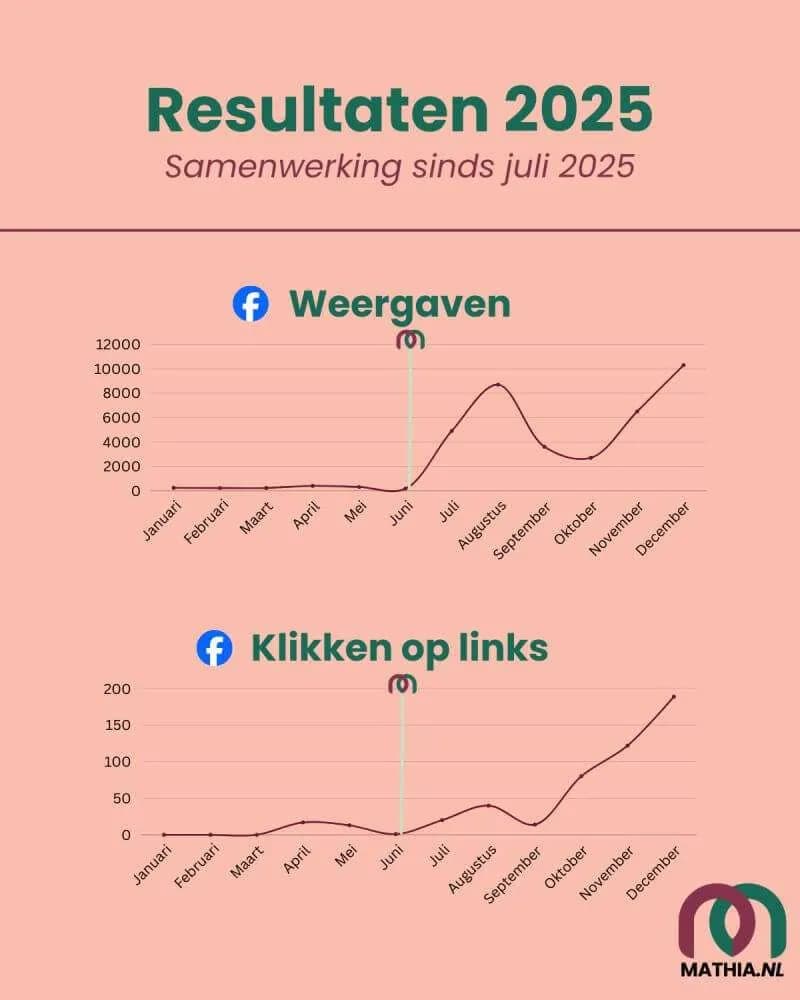 Klant resultaten Facebook 2025